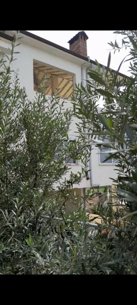 Villa Guci